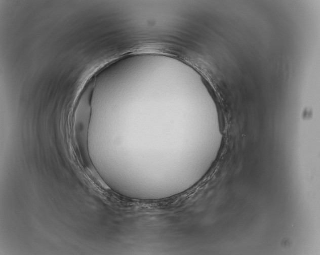 X0000097600289200803141923