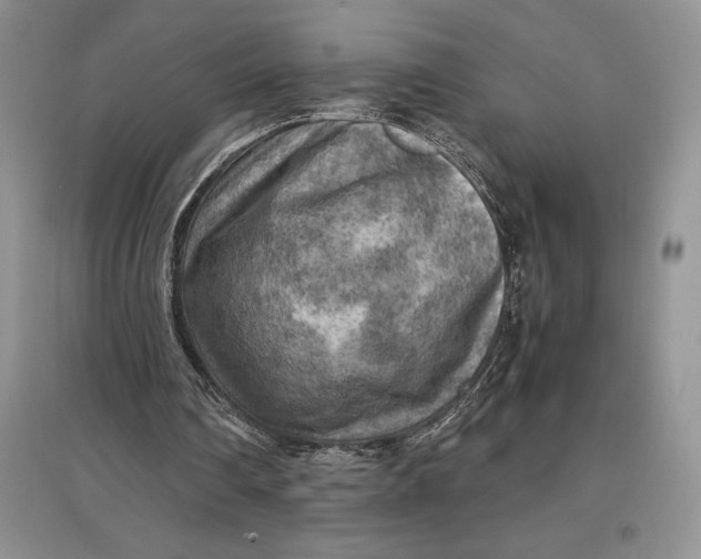 X0000097600290200803141923