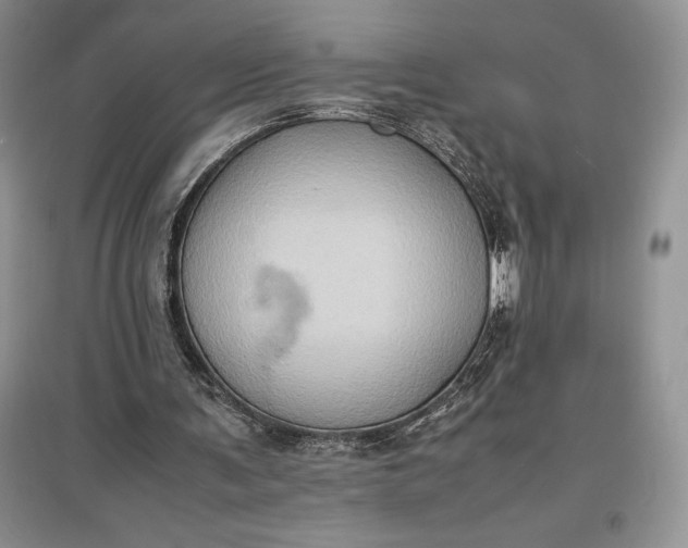 X0000097600291200803141923