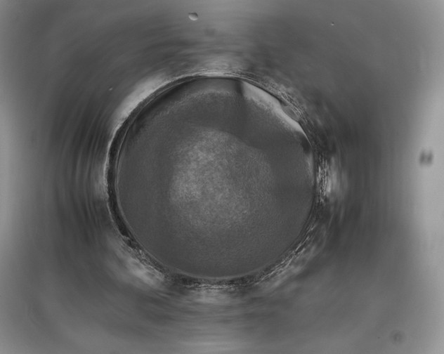 X0000097600292200803141923