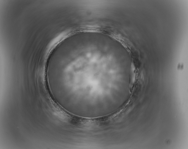 X0000097600293200803141923