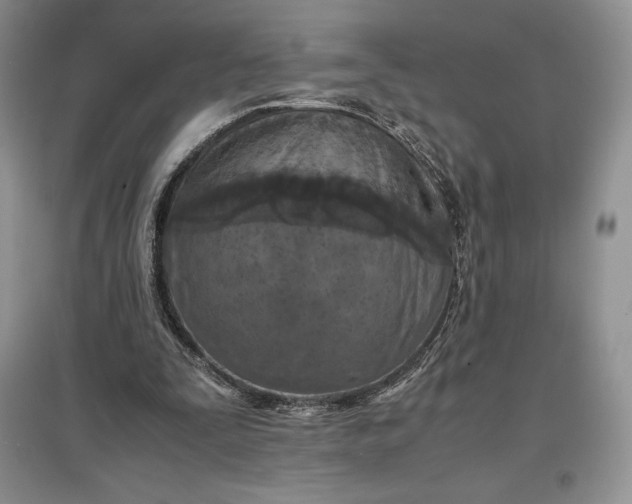 X0000097600295200803141922