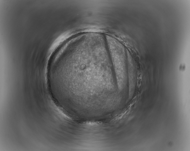 X0000097600296200803141922