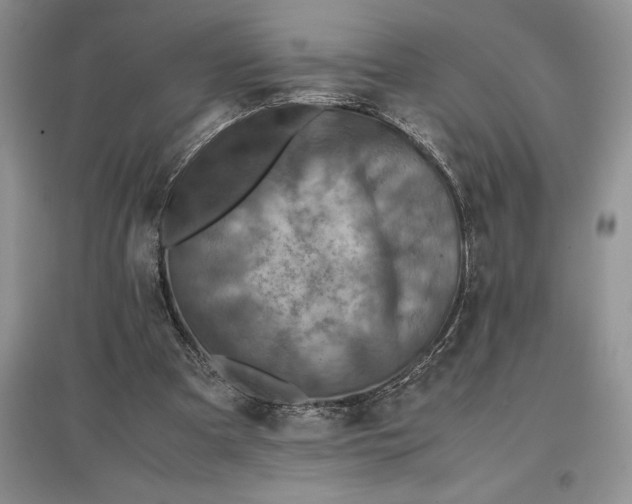 X0000097600297200803141922