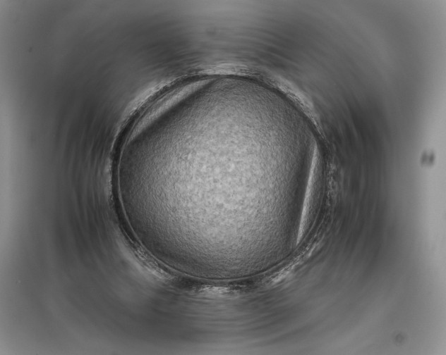 X0000097600298200803141922