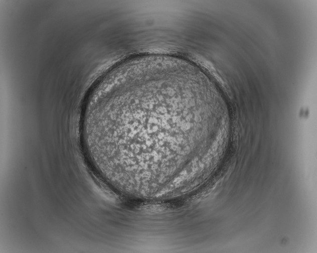 X0000097600299200803141922