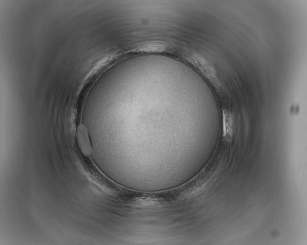 X0000097600300200803141922