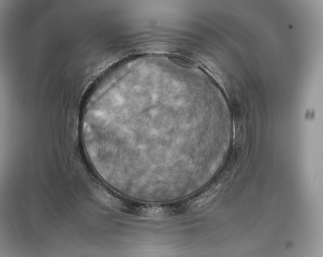 X0000097600301200803141922