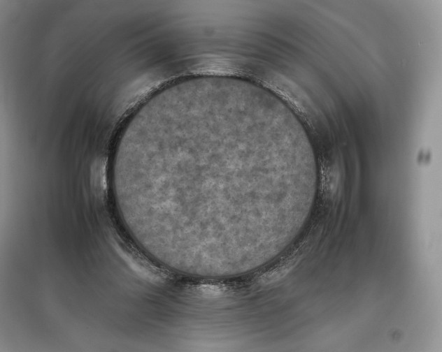 X0000097600302200803141922