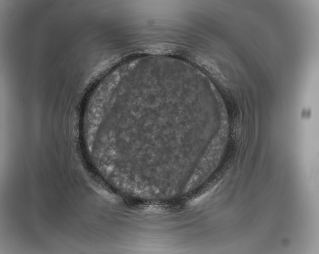 X0000097600303200803141922