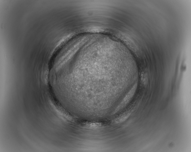 X0000097600304200803141922