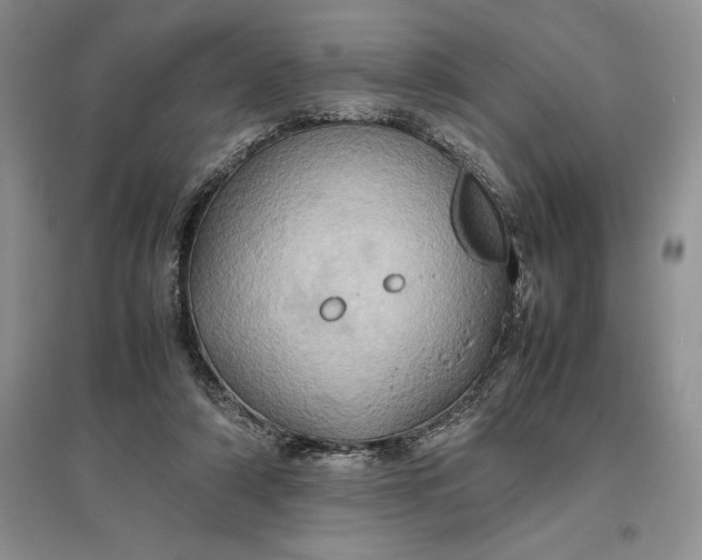 X0000097600306200803141922