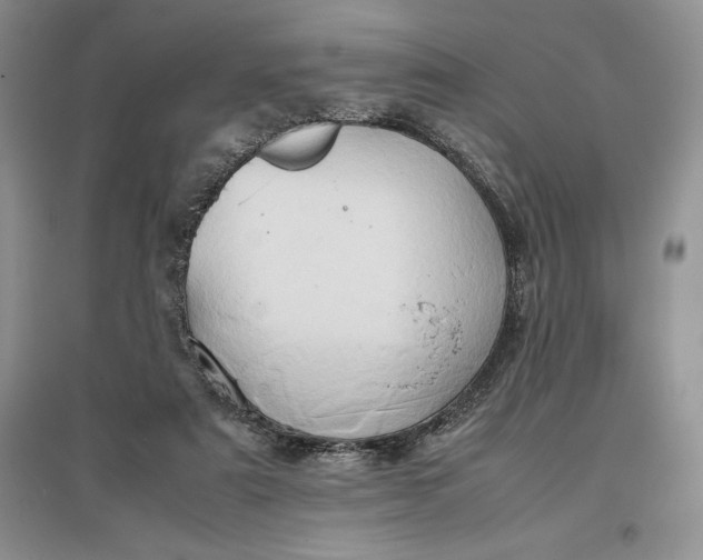 X0000097600307200803141922