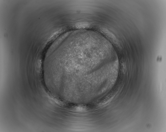 X0000097600308200803141922