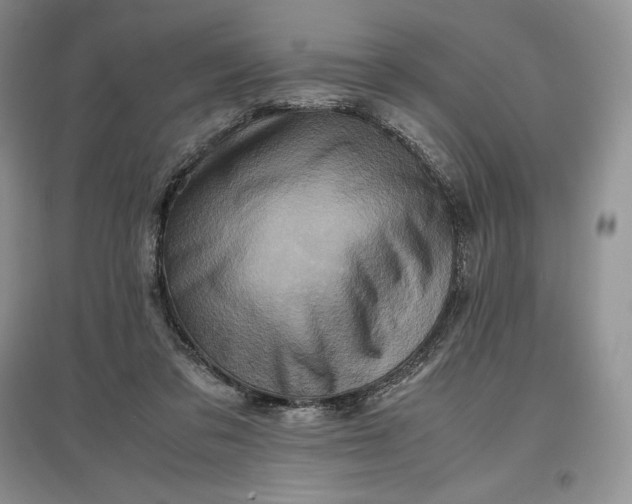 X0000097600309200803141922