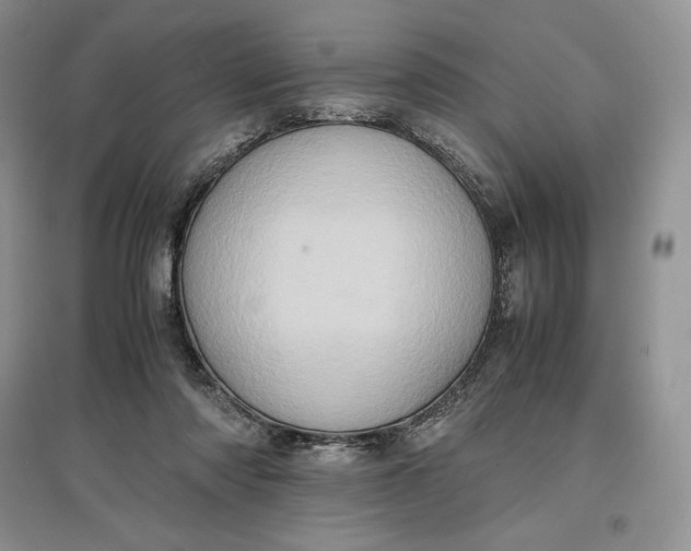 X0000097600310200803141922