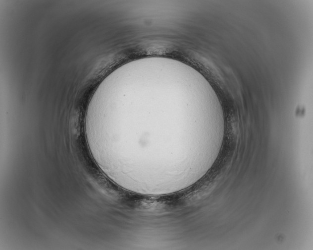 X0000097600311200803141922