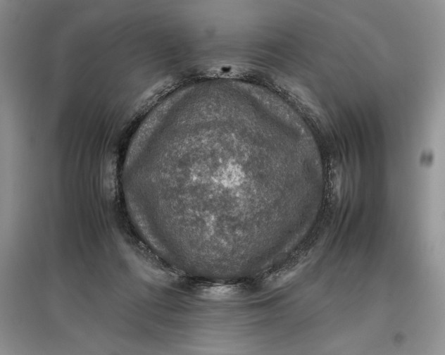 X0000097600312200803141922