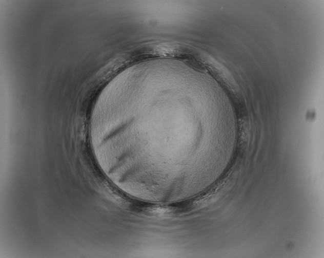 X0000097600313200803141922