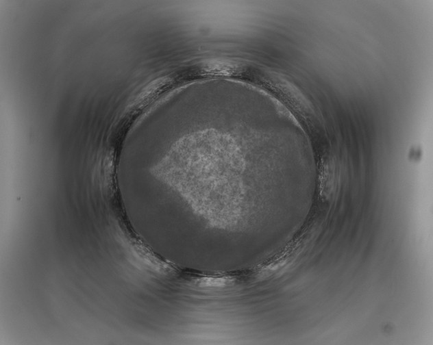 X0000097600314200803141922