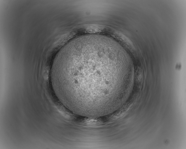 X0000097600315200803141922