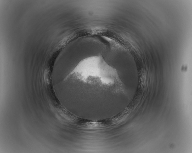 X0000097600316200803141922