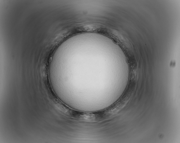 X0000097600317200803141922