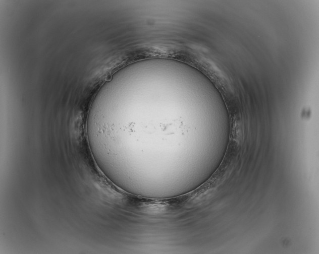 X0000097600318200803141922