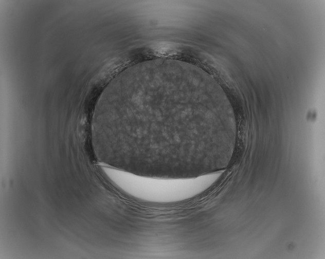 X0000097600319200803141922