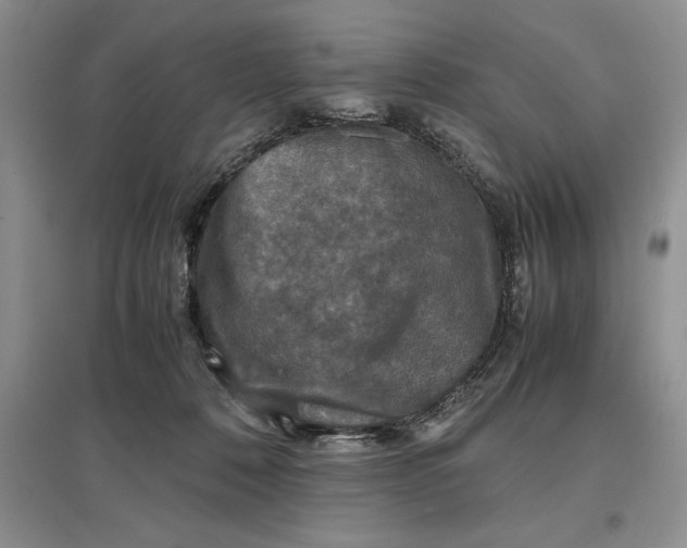 X0000097600320200803141922