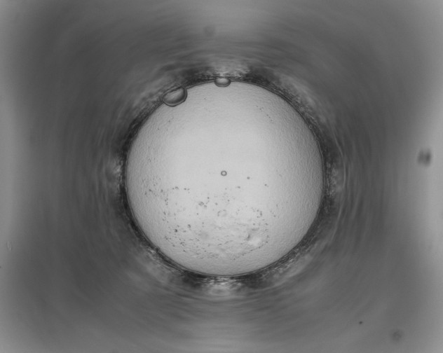 X0000097600321200803141922