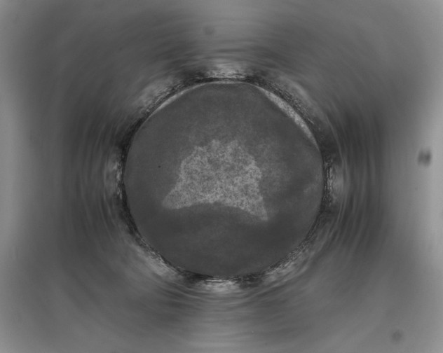 X0000097600322200803141922