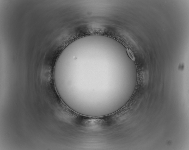 X0000097600323200803141922