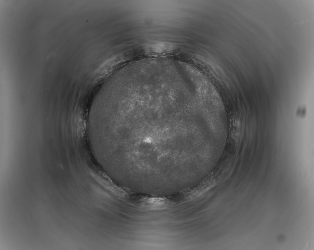 X0000097600324200803141922