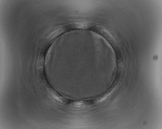 X0000097600325200803141922