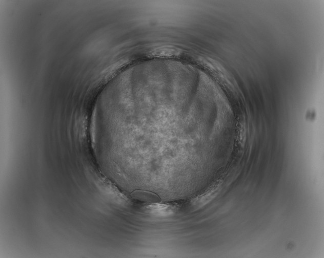X0000097600326200803141922