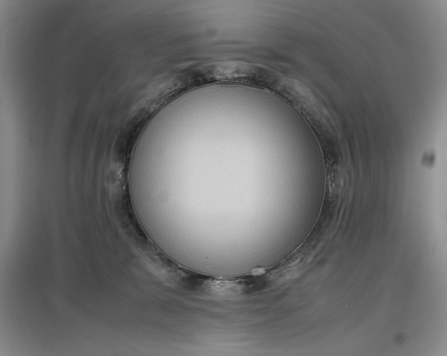 X0000097600327200803141922