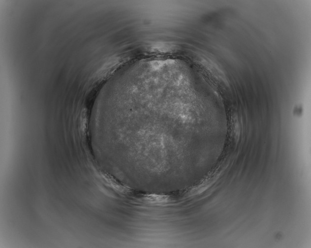 X0000097600328200803141922