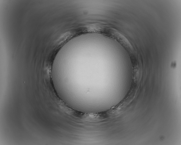 X0000097600329200803141922