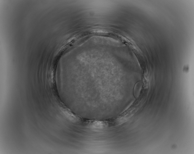X0000097600330200803141922