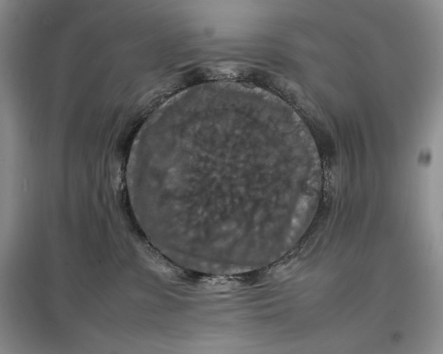 X0000097600331200803141922