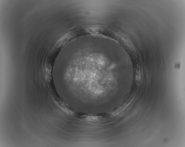 X0000097600332200803141922