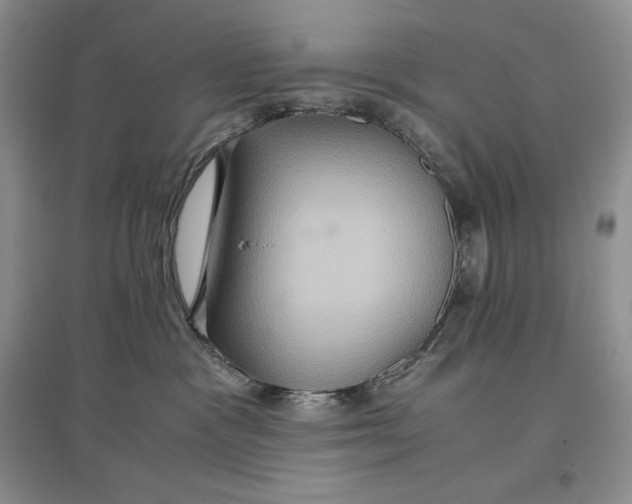 X0000097600333200803141922