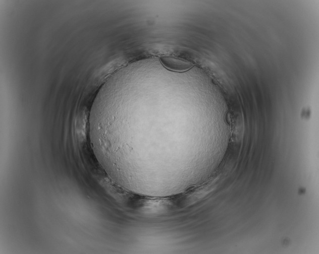 X0000097600334200803141922