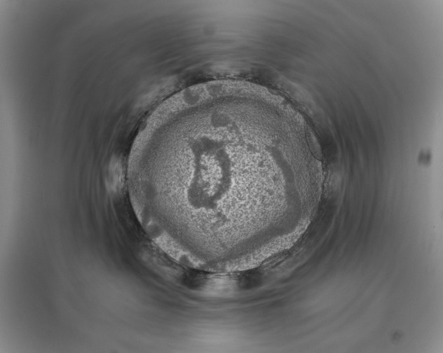 X0000097600335200803141922