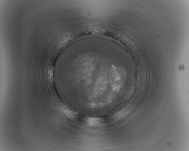 X0000097600336200803141922