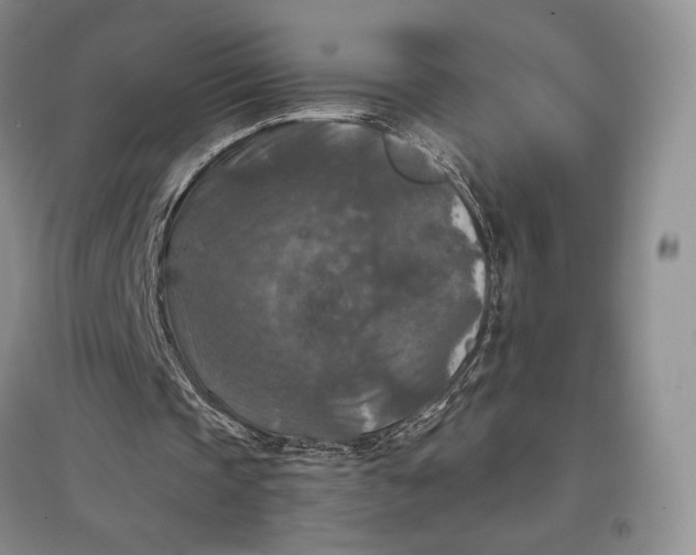 X0000097600337200803141921