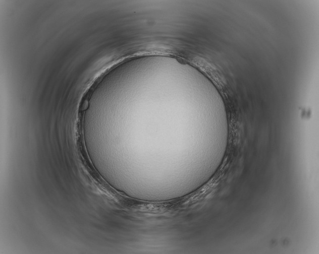 X0000097600338200803141921