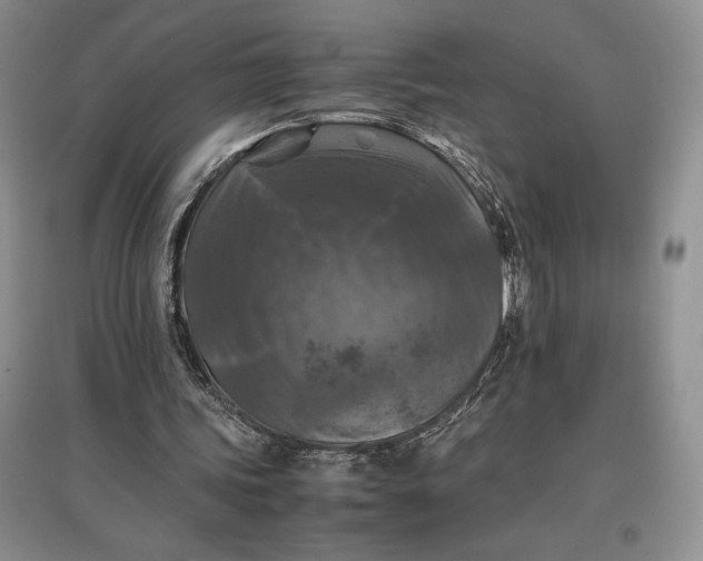 X0000097600339200803141921
