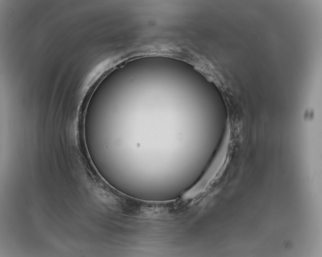 X0000097600340200803141921